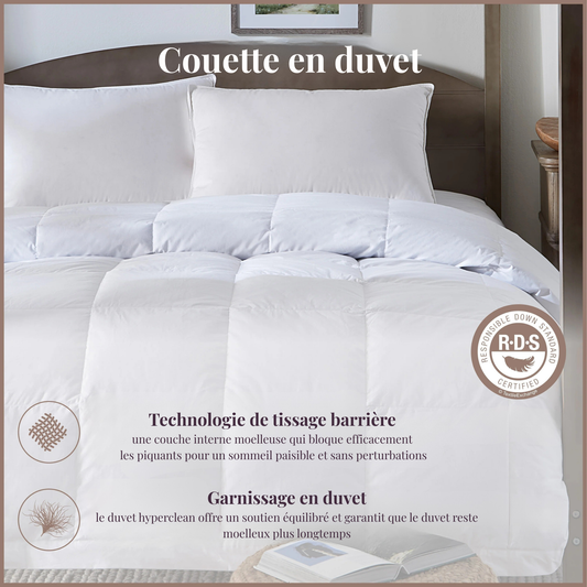Duvet Luxe en Duvet d'Oie - Sommeil de rêve!